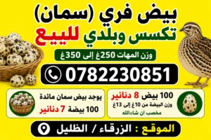 بيض فري للبيع