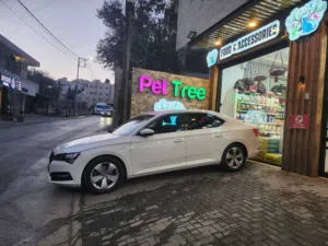 Used Skoda Superb in Bethlehem
