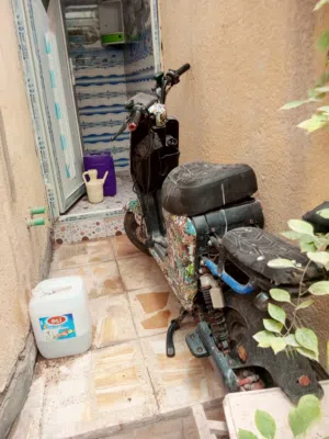 غراض لبيع كلمن وسعر