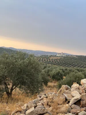 Mixed Use Land for Sale in Jerash Al-Hashimiyyah