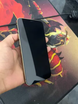 Apple iPhone 12 Pro Max 512 GB in Karbala