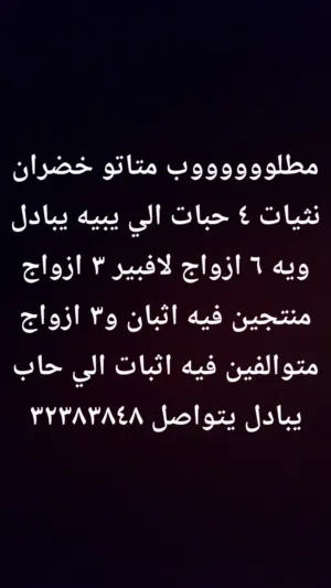 مطلووووووب متاتو خضران نثيات 4 حبات الي يبيه يبادل ويه 6 ازواج لافبيرد