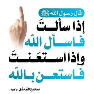 وكيل العام للتطبيقات والالعاب