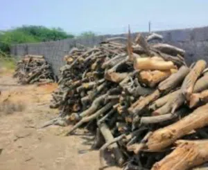 حطب سمر للبيع