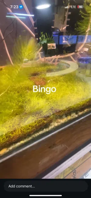 Anyone has plants or fish no need احد عندة نبات او سمجة ما يحتاجة