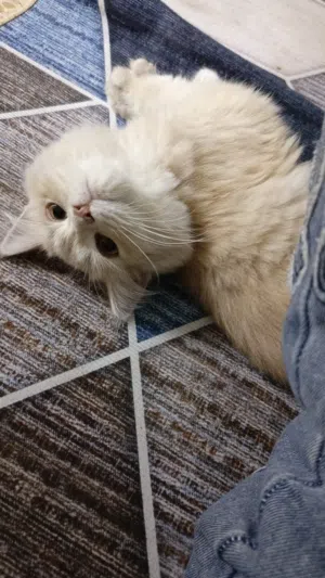 RicK 