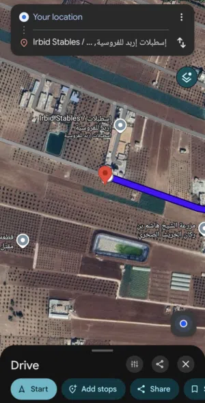Farm Land for Sale in Irbid Huwwarah