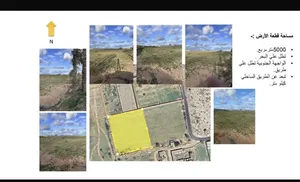 Mixed Use . 5000 m2 . Landlord2