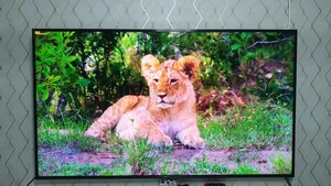‏سامسونج ‏.‏ LED ‏.‏ 75 انش‏4