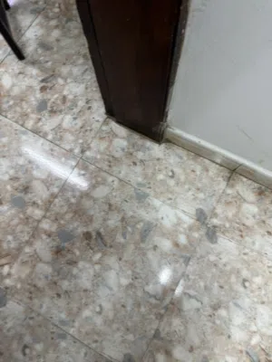 ابحث عن سراميك هذا النوع