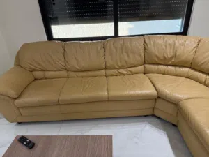 طقم جلد طبيعي تم إحضاره من كندا