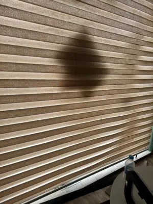 برداي زيبرا