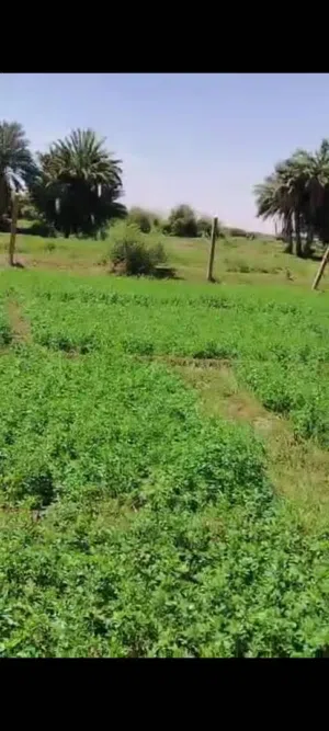 Farm Land for Sale in Khartoum Other