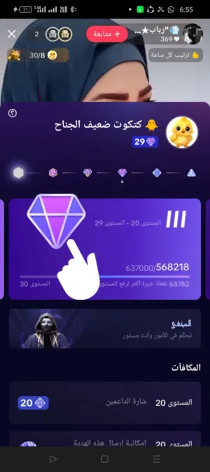 TikTok account level 29