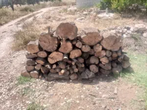 موجود حطب اسعار تنافس الجميع