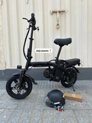 Vélo Électrique BOSHUO 48V