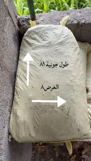 نفيعه  تمر الحيونات