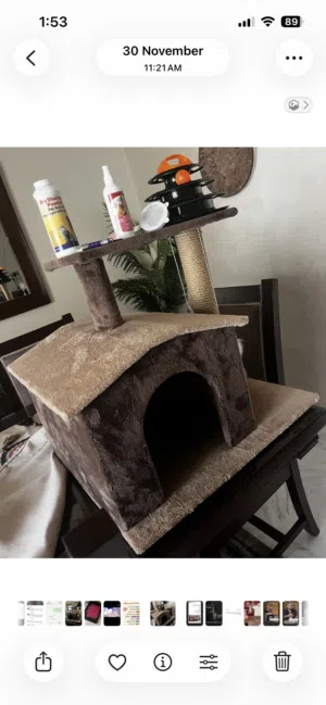 مستلزمات قطط للبيع