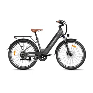 Wind Horse F2 Electric Cycle - Black
