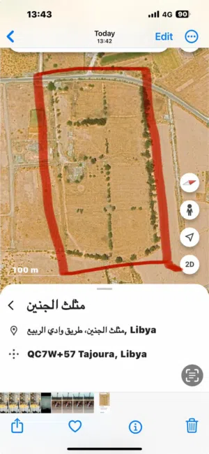 6 هكتارات للبيع في الجنين على قطران فرعي من سريع وادي الربيع