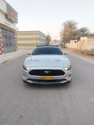 Mustang 2019 eco boost silver