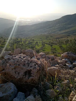 Farm Land for Sale in Jerash Borma