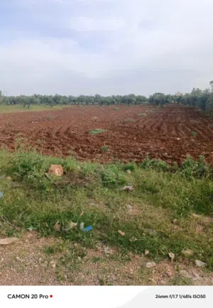 ارض للبيع اربد المغير
