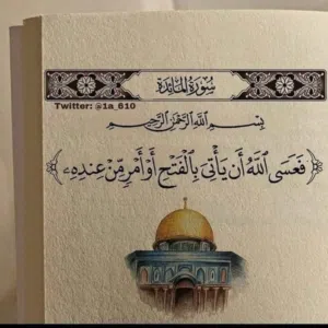 Yousef.Re 