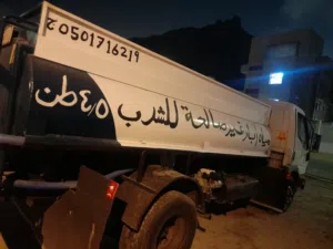 دينا مستبيشي