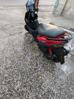 ماكس عدله نضيفه