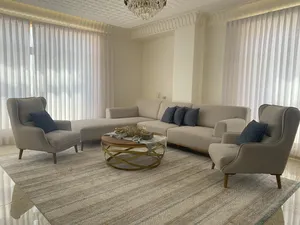 Living Room Furniture . Used1