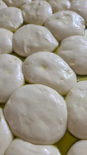 جهاد محاليس 