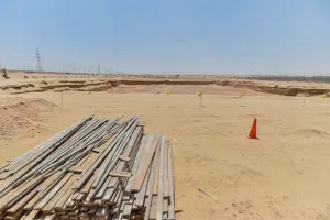 فرصة نادرة