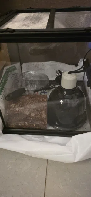 Reptile Supplies أساسيات الزواحف