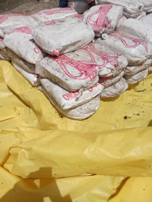 للبيع نفيعه حق الابل والاغنام الحجم جونيه ابو دله