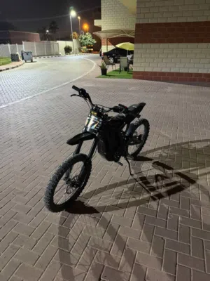 Natkie Surron 2025 (highly customized)