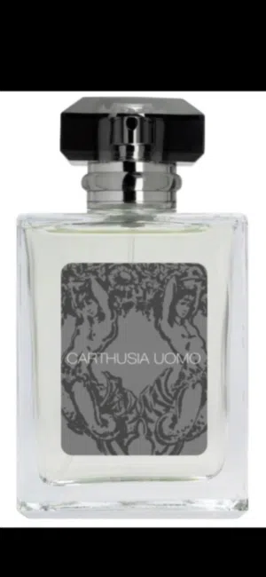 عطر كارثوسيا اودي بارفان جديد 100 ملم carthusia uomo