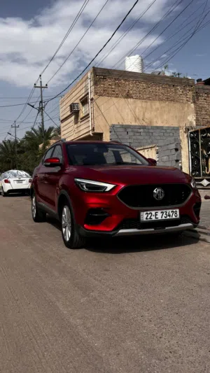 Mg ZS 2022