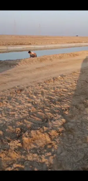 قطعة ارض عقد زراعي للبيع أو الاستثمار منطقة السيبه ..سيحان