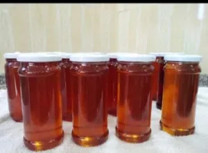 مناحل نيسان لإنتاج العسل البلدي