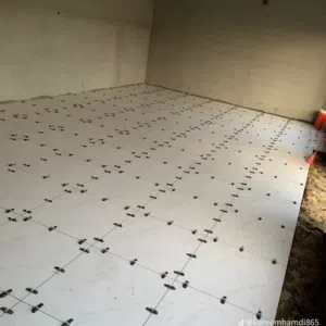 الحكمي 