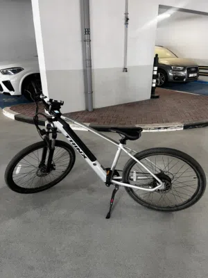 Trinx groove ecycle (very low price)