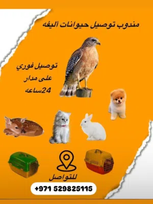 خدمة توصيل جميع انواع الحيوانات                         توصيل آمن وسريع  Fast delivery