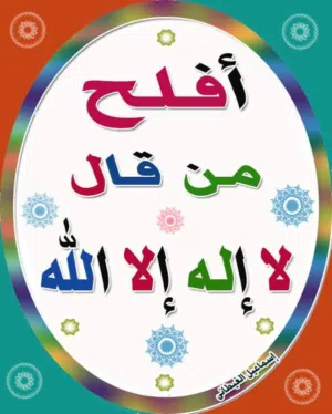 احمد محمد 