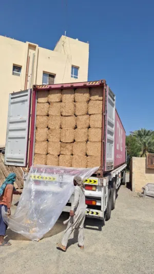 الحمد لله التبن الجديد والنظيف باكستاني موجود