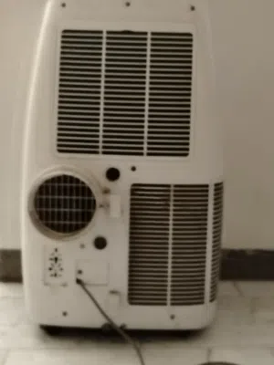 سبلت ارضي فقط