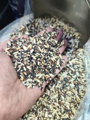 خلطه طائر الحسون من اجود الانواع بضاعه اوروبيه مستورده