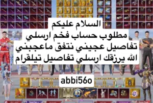 مطلوب حساب فخم ارسلي تفاصيل تيلقرام abbi56o