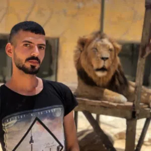 Amer AlSoudi