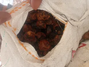 علف نفيعه تمر